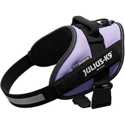 Julius-K9 Harnais IDC Power, Taille: M/0, Mauve Julius-K9 Harnais IDC Power, Taille: M/0, Mauve