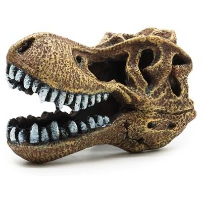 Amtra Vague Crâne de T-Rex Amtra Vague Crâne de T-Rex