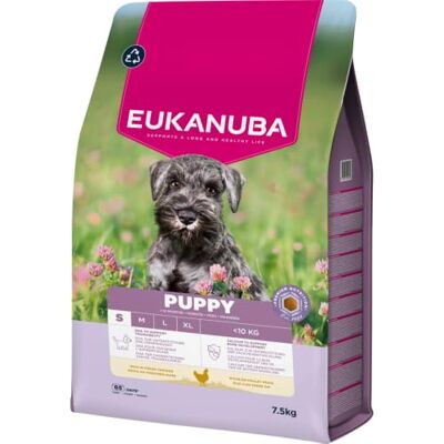 Eukanuba Nourriture pour Chiots au Poulet Frais pour Petites Races, Nourriture sèche Premium pour Chiens Juniors, 7,5 kg Eukanuba Nourriture pour Chiots au Poulet Frais pour Petites Races, Nourriture sèche Premium pour Chiens Juniors, 7,5 kg