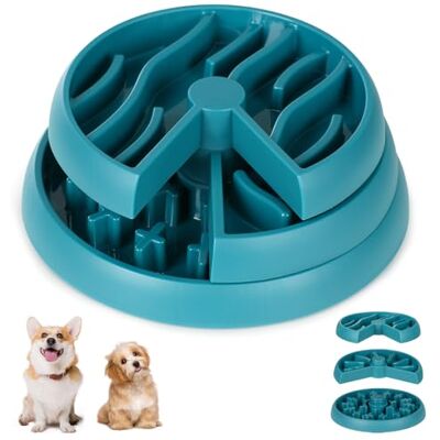 Barpor Gamelle pour chien Gamelle pour chien Gamelle amusante pour chien Gamelle interactive antidérapante Anti-étranglement Alimentation saine Barpor Gamelle pour chien Gamelle pour chien Gamelle amusante pour chien Gamelle interactive antidérapante Anti-étranglement Alimentation saine