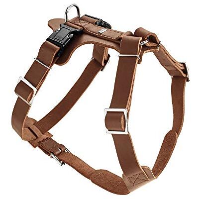HUNTER Harnais pour chien AALBORG Couleur : cognac Cuir de vachette Réglable Avec boucles en plastique Design serré Fabriqué en Allemagne Taille : M-L/1 HUNTER Harnais pour chien AALBORG Couleur : cognac Cuir de vachette Réglable Avec boucles en plastique Design serré Fabriqué en Allemagne Taille : M-L/1