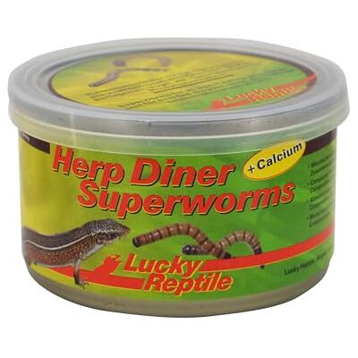 Lucky Reptile Herp Diner Superworms (35 g x 2), bouillis XXL vers de farine avec calcium Lucky Reptile Herp Diner Superworms (35 g x 2), bouillis XXL vers de farine avec calcium