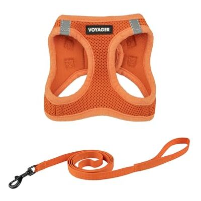 Best Pet Supplies Voyager Step-in Air Ensemble harnais en maille résistante aux intempéries pour chats de petite et grande taille, orange, taille XXXS (tour de poitrine 27,9 à 30,5 cm) Best Pet Supplies Voyager Step-in Air Ensemble harnais en maille résistante aux intempéries pour chats de petite et grande taille, orange, taille XXXS (tour de poitrine 27,9 à 30,5 cm)