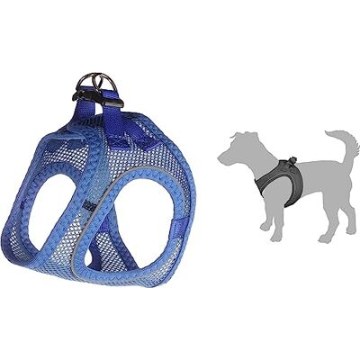 FLAMINGO Harnais Step&GO BENTO Bleu XXS 24-25CM FLAMINGO Harnais Step&GO BENTO Bleu XXS 24-25CM