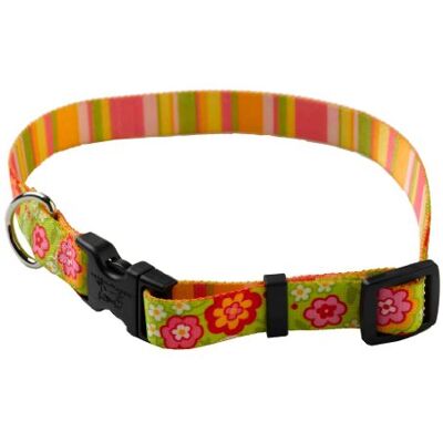 YellowDog Design PJ481 - Collier rayé ajustable YellowDog Design PJ481 - Collier rayé ajustable