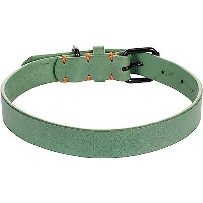 FLAMINGO COLLIIER LEANO Vert L 43-53CM 25MM FLAMINGO COLLIIER LEANO Vert L 43-53CM 25MM
