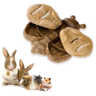 Ferplast Snack Naturel pour Rongeurs, Hamsters, Cochons d'Inde et Lapins, Favorise l'Hygiène Dentaire, Stimule le Jeu et Apporte Goût et Bien-être Chaque Jour, en Forme D'Abeille Ferplast Snack Naturel pour Rongeurs, Hamsters, Cochons d'Inde et Lapins, Favorise l'Hygiène Dentaire, Stimule le Jeu et Apporte Goût et Bien-être Chaque Jour, en Forme D'Abeille