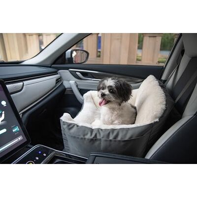 Best Pet Supplies Siège rehausseur pour chien pour voiture, camion et SUV avec coussin en peluche douce avec grand oreiller et murs, literie confortable avec sangles de sécurité – Gris Best Pet Supplies Siège rehausseur pour chien pour voiture, camion et SUV avec coussin en peluche douce avec grand oreiller et murs, literie confortable avec sangles de sécurité – Gris