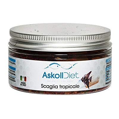 Askoll 280503 Alimentation en flocons pour poissons tropicaux, S Askoll 280503 Alimentation en flocons pour poissons tropicaux, S