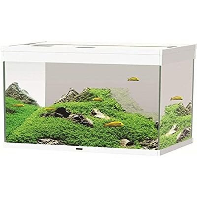 Askoll Marque Modèle - Éclairage LED pour Aquarium Askoll Marque Modèle - Éclairage LED pour Aquarium