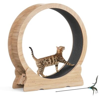 Mondeer Roue pour chat d'intérieur avec piste moquette, tapis roulant XL de 110 cm avec tapis amovible et jouet pour chat, pour course à pied, marche (bois naturel) Mondeer Roue pour chat d'intérieur avec piste moquette, tapis roulant XL de 110 cm avec tapis amovible et jouet pour chat, pour course à pied, marche (bois naturel)