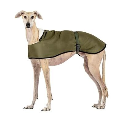 Manteau Imperméable CandyPet - Élégant, Chaud & Résistant à l'eau Manteau Imperméable CandyPet - Élégant, Chaud & Résistant à l'eau