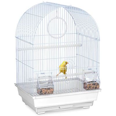 Relaxdays Cage à oiseaux, canaris, perruches, avec perchoirs, blanc balançoire & mangeoires, HLP 49,5 x 34,5 x 31 cm Relaxdays Cage à oiseaux, canaris, perruches, avec perchoirs, blanc balançoire & mangeoires, HLP 49,5 x 34,5 x 31 cm