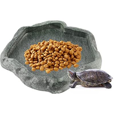 ciciglow Distributeur d'eau pour Reptile,Mangeoire Gamelle Tortue Terrestre,Abreuvoir pour Reptile,pour Reptiles pour Nourriture et Eau pour Lézard Gecko Dragon Barbu Caméléon(Vert S) ciciglow Distributeur d'eau pour Reptile,Mangeoire Gamelle Tortue Terrestre,Abreuvoir pour Reptile,pour Reptiles pour Nourriture et Eau pour Lézard Gecko Dragon Barbu Caméléon(Vert S)