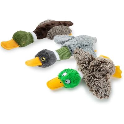 Best Pet Supplies Jouet interactif pour chien Mallard Mates avec enrichissement froissé et couineur pour chiens de petite et moyenne race, mignon et en peluche – Ensemble d'ailes de canard colvert Best Pet Supplies Jouet interactif pour chien Mallard Mates avec enrichissement froissé et couineur pour chiens de petite et moyenne race, mignon et en peluche – Ensemble d'ailes de canard colvert