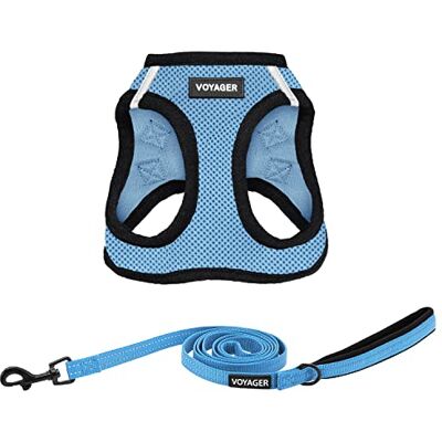 Best Pet Supplies Voyager Step-in Air – Harnais en maille et laisse réfléchissante 1,5 m avec poignée en néoprène pour chiens de petite, moyenne et grande taille, bleu ciel/bordure noire, taille XS Best Pet Supplies Voyager Step-in Air – Harnais en maille et laisse réfléchissante 1,5 m avec poignée en néoprène pour chiens de petite, moyenne et grande taille, bleu ciel/bordure noire, taille XS