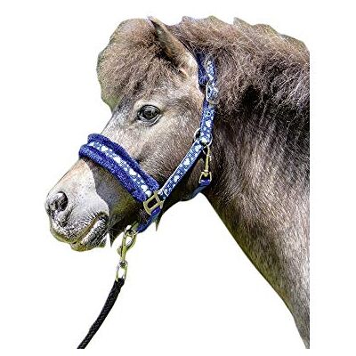 HKM Heart 6500 Mini Shetty Licol et tricot Bleu HKM Heart 6500 Mini Shetty Licol et tricot Bleu
