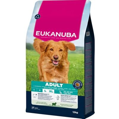 Eukanuba Life Care Croquettes Chien Adulte Grande Race 18 mois à 6 ans Race Géante 2 à 5 ans, Riche en Agneau & Riz, L-carnitine, Oméga 3&6, FOS, MOS, Sans colorants, arômes artificiels ni OGM – 12 kg Eukanuba Life Care Croquettes Chien Adulte Grande Race 18 mois à 6 ans Race Géante 2 à 5 ans, Riche en Agneau & Riz, L-carnitine, Oméga 3&6, FOS, MOS, Sans colorants, arômes artificiels ni OGM – 12 kg
