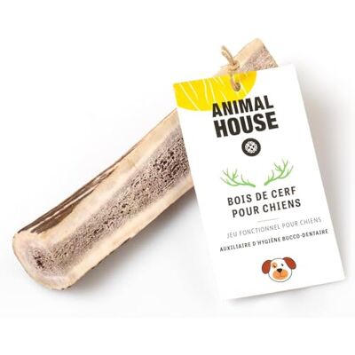 Animal House Bois de Cerf Sectionnés pour Chiens À mâcher 100% Naturel Renforce l'hygiène bucco-Dentaire Résistant et Durable Disponible dans Toutes Les Tailles (S) Animal House Bois de Cerf Sectionnés pour Chiens À mâcher 100% Naturel Renforce l'hygiène bucco-Dentaire Résistant et Durable Disponible dans Toutes Les Tailles (S)