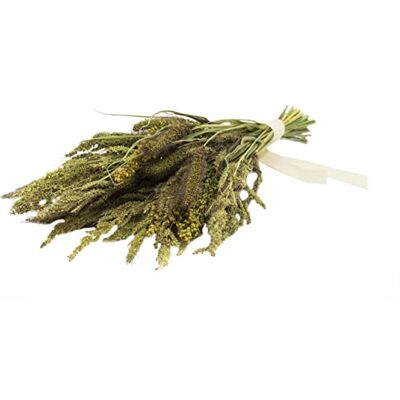 JR Farm Birds Pot pourri au millet 50 g JR Farm Birds Pot pourri au millet 50 g