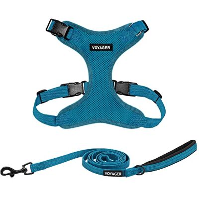 Best Pet Supplies Voyager Step-in Lock Ensemble harnais pour chien avec laisse réfléchissante avec poignée en néoprène, 1,5 m, pour chiots/chats de petite, moyenne et grande race, turquoise, taille XS Best Pet Supplies Voyager Step-in Lock Ensemble harnais pour chien avec laisse réfléchissante avec poignée en néoprène, 1,5 m, pour chiots/chats de petite, moyenne et grande race, turquoise, taille XS