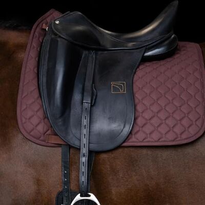 Imperial Riding IRH Monoleaf Étrivières en cuir avec noyau en nylon pour selles mono-feuilles, noir, 80 cm Imperial Riding IRH Monoleaf Étrivières en cuir avec noyau en nylon pour selles mono-feuilles, noir, 80 cm