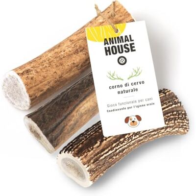 Animal House 3 pièces de Bois de Cerf Entier pour Chien, à mâcher 100% Naturel, renforce l'hygiène bucco-Dentaire, résistant et Durable, Disponible dans Toutes Les Tailles (3, M) Animal House 3 pièces de Bois de Cerf Entier pour Chien, à mâcher 100% Naturel, renforce l'hygiène bucco-Dentaire, résistant et Durable, Disponible dans Toutes Les Tailles (3, M)