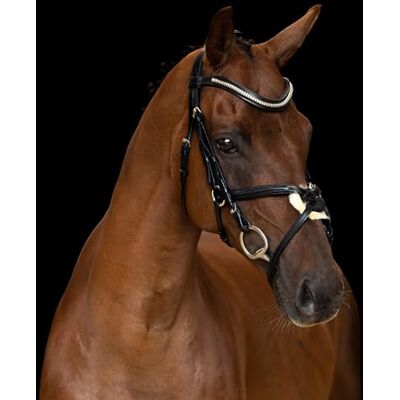 Imperial Riding Bride en cuir mexicain IRH avec large muserolle et coiffe rembourrée Noir Poney Imperial Riding Bride en cuir mexicain IRH avec large muserolle et coiffe rembourrée Noir Poney