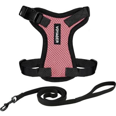 Best Pet Supplies Voyager Step-in Lock Harnais réglable pour chat avec laisse à poignée en néoprène de 150 cm, pour chats de petite, moyenne et grande taille, rose/bord noir, XXS Best Pet Supplies Voyager Step-in Lock Harnais réglable pour chat avec laisse à poignée en néoprène de 150 cm, pour chats de petite, moyenne et grande taille, rose/bord noir, XXS