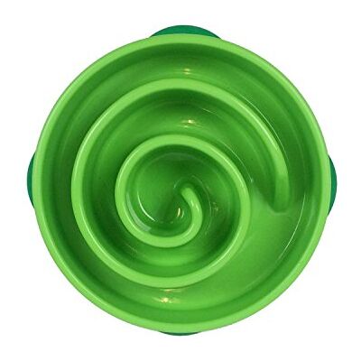 Kyjen Outward Hound Gamelle pour chien Vert corail Taille S Kyjen Outward Hound Gamelle pour chien Vert corail Taille S