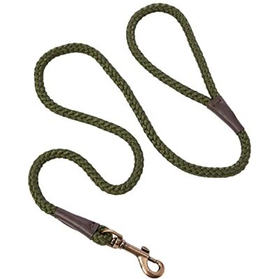 Ancol Heritage Laisse en nylon Vert 1,07 m x 10 mm Taille 1-3 Ancol Heritage Laisse en nylon Vert 1,07 m x 10 mm Taille 1-3