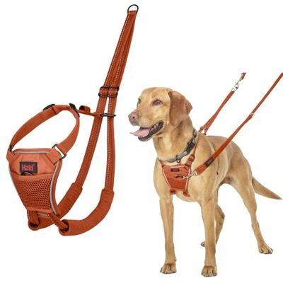 Halti Harnais anti-traction Pour que votre chien arrête de tirer sur sa laisse, Sangle de poitrail et des pattes avant rembourrée, Harnais pour chiens de taille moyenne (Taille M, Orange Brûlé) Halti Harnais anti-traction Pour que votre chien arrête de tirer sur sa laisse, Sangle de poitrail et des pattes avant rembourrée, Harnais pour chiens de taille moyenne (Taille M, Orange Brûlé)