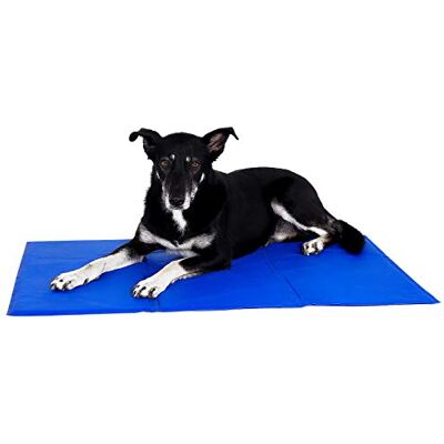 lionto Lit pour chien 4-en-1 avec coussin réversible, 110x80 cm, coussin pour animaux de compagnie de toutes tailles résistant aux griffures avec entrée basse, marron/beige (avec nom imprimé) lionto Lit pour chien 4-en-1 avec coussin réversible, 110x80 cm, coussin pour animaux de compagnie de toutes tailles résistant aux griffures avec entrée basse, marron/beige (avec nom imprimé)