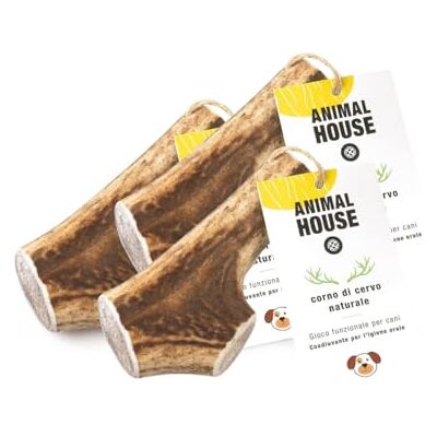 Animal House 3 pièces de Bois de Cerf Entier pour Chien, à mâcher 100% Naturel, renforce l'hygiène bucco-Dentaire, résistant et Durable, Disponible dans Toutes Les Tailles (3, L) Animal House 3 pièces de Bois de Cerf Entier pour Chien, à mâcher 100% Naturel, renforce l'hygiène bucco-Dentaire, résistant et Durable, Disponible dans Toutes Les Tailles (3, L)