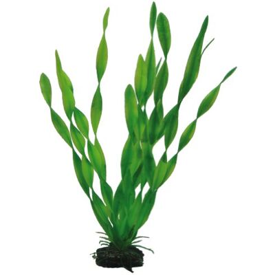 Hobby Vallisneria Plante d'Aquarium Artificielle 34 cm Hobby Vallisneria Plante d'Aquarium Artificielle 34 cm