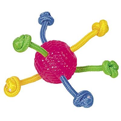 Nobby 60031 TPR Ball Corde de Jeu Nobby 60031 TPR Ball Corde de Jeu
