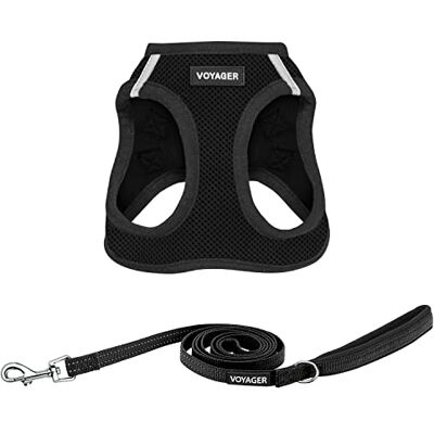 Best Pet Supplies Voyager Step-in Air All Weather Mesh Harness and Reflective Dog 5 ft Leash Combo with Neoprene Handle, for Small, Medium and Large Breed Puppies by Set (Black), XS Best Pet Supplies Voyager Step-in Air All Weather Mesh Harness and Reflective Dog 5 ft Leash Combo with Neoprene Handle, for Small, Medium and Large Breed Puppies by Set (Black), XS