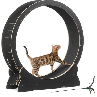 Mondeer Roue pour chat d'intérieur avec piste moquette, tapis de course XL de 110 cm avec tapis amovible et jouet pour chat, pour course à pied, marche, entraînement (noir) Mondeer Roue pour chat d'intérieur avec piste moquette, tapis de course XL de 110 cm avec tapis amovible et jouet pour chat, pour course à pied, marche, entraînement (noir)