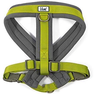 Ancol Viva Harnais rembourré Vert citron Taille L 52-71 cm Ancol Viva Harnais rembourré Vert citron Taille L 52-71 cm