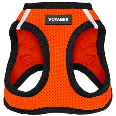 Best Pet Supplies Voyager Step-in Air Harnais en maille résistante aux intempéries, réfléchissant, anti-traction, sécurisé pour chiens et chats de petite et moyenne taille, orange/bord noir, taille L Best Pet Supplies Voyager Step-in Air Harnais en maille résistante aux intempéries, réfléchissant, anti-traction, sécurisé pour chiens et chats de petite et moyenne taille, orange/bord noir, taille L