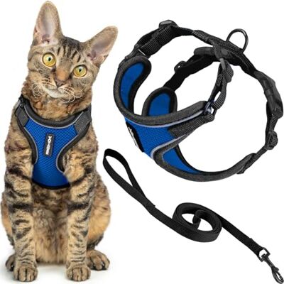 Best Pet Supplies Voyager Harnais et laisse pour chat avec coutures réfléchissantes, poignée en néoprène, pour les petits, moyens et grands chats pour promenade, BT-bleu roi, taille S, 1,5 m Best Pet Supplies Voyager Harnais et laisse pour chat avec coutures réfléchissantes, poignée en néoprène, pour les petits, moyens et grands chats pour promenade, BT-bleu roi, taille S, 1,5 m