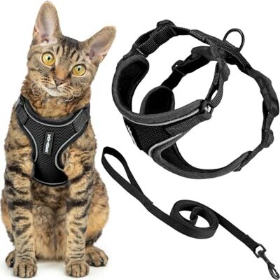 Best Pet Supplies Voyager Harnais et laisse pour chat avec coutures réfléchissantes, poignée en néoprène, pour les petits, moyens et grands chats pour promenade, noir, taille XXS, 1,5 m Best Pet Supplies Voyager Harnais et laisse pour chat avec coutures réfléchissantes, poignée en néoprène, pour les petits, moyens et grands chats pour promenade, noir, taille XXS, 1,5 m
