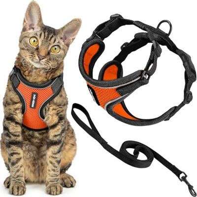 Best Pet Supplies Voyager Harnais et laisse pour chat avec coutures réfléchissantes, poignée en néoprène, pour les petits, moyens et grands chats pour promenade, bordure noire, orange, taille S, 1,5 m Best Pet Supplies Voyager Harnais et laisse pour chat avec coutures réfléchissantes, poignée en néoprène, pour les petits, moyens et grands chats pour promenade, bordure noire, orange, taille S, 1,5 m