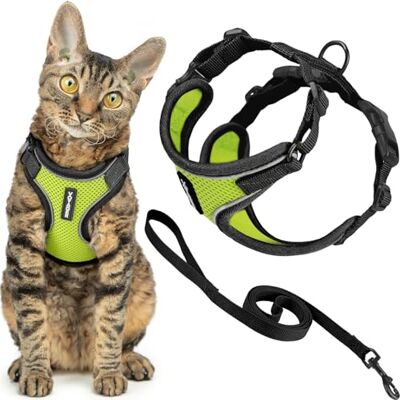 Best Pet Supplies Voyager Harnais et laisse pour chat avec coutures réfléchissantes, poignée en néoprène, pour les petits, moyens et grands chats pour promenade, bordure noire/vert citron, taille XS Best Pet Supplies Voyager Harnais et laisse pour chat avec coutures réfléchissantes, poignée en néoprène, pour les petits, moyens et grands chats pour promenade, bordure noire/vert citron, taille XS