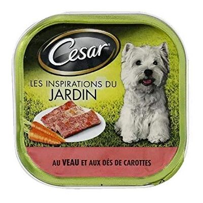 Cesar Pâté de veau et carottes pour chien - 20 Paquets Cesar Pâté de veau et carottes pour chien - 20 Paquets
