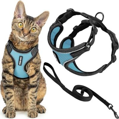 Best Pet Supplies Voyager Harnais et laisse pour chat avec coutures réfléchissantes, poignée en néoprène, pour les petits, moyens et grands chats pour promenade, BT-bleu ciel, taille XS, 1,5 m Best Pet Supplies Voyager Harnais et laisse pour chat avec coutures réfléchissantes, poignée en néoprène, pour les petits, moyens et grands chats pour promenade, BT-bleu ciel, taille XS, 1,5 m