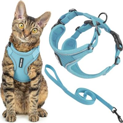 Best Pet Supplies Voyager Harnais et laisse pour chat avec coutures réfléchissantes, poignée en néoprène, pour les petits, moyens et grands chats pour promenade, bleu ciel, taille XXXS, 1,5 m Best Pet Supplies Voyager Harnais et laisse pour chat avec coutures réfléchissantes, poignée en néoprène, pour les petits, moyens et grands chats pour promenade, bleu ciel, taille XXXS, 1,5 m