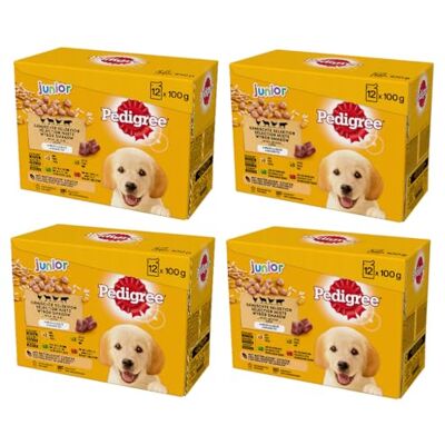 Pedigree DOGCARE Lot de 4 sachets de nourriture pour chien Chunks en gelée junior 4 x 12 x 100 g Pedigree DOGCARE Lot de 4 sachets de nourriture pour chien Chunks en gelée junior 4 x 12 x 100 g