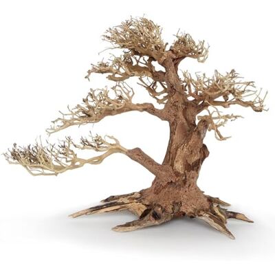 Amtra Bois Oriental Wind 4 Taille L 40 x 15 x 30 cm, Composition de bois naturel pour aquariums, fait à la main, accessoire de décoration pour Terrari Amtra Bois Oriental Wind 4 Taille L 40 x 15 x 30 cm, Composition de bois naturel pour aquariums, fait à la main, accessoire de décoration pour Terrari