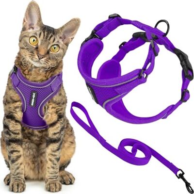 Best Pet Supplies Voyager Harnais et laisse pour chat avec coutures réfléchissantes, poignée en néoprène, pour les petits, moyens et grands chats pour promenade, violet, taille S, 1,5 m Best Pet Supplies Voyager Harnais et laisse pour chat avec coutures réfléchissantes, poignée en néoprène, pour les petits, moyens et grands chats pour promenade, violet, taille S, 1,5 m